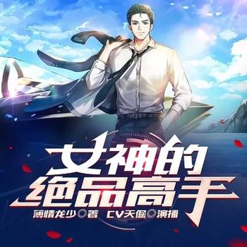 女神的绝品高手有声小说