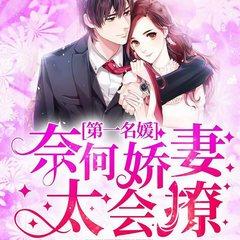 第一名媛，奈何娇妻太会撩(多人剧)有声小说
