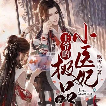 王爷的极品小医妃(多人剧)有声小说