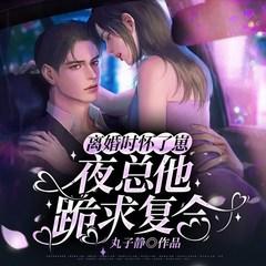离婚时怀了崽，夜总他跪求复合有声小说