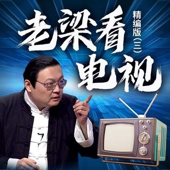 老梁看电视精编版(多人剧)有声小说