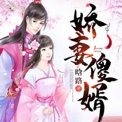 娇妻傻婿(多人剧)有声小说