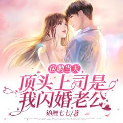 应聘当天，顶头上司是我闪婚老公有声小说