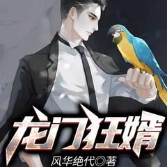 龙门狂婿有声小说