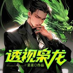 透视枭龙有声小说