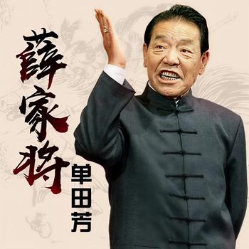 薛家将有声小说