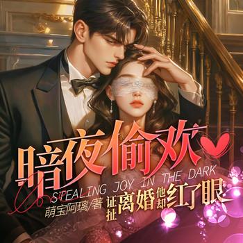 暗夜偷换，扯证离婚他却红了眼有声小说
