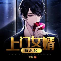 上门女婿惹不起(多人剧)有声小说